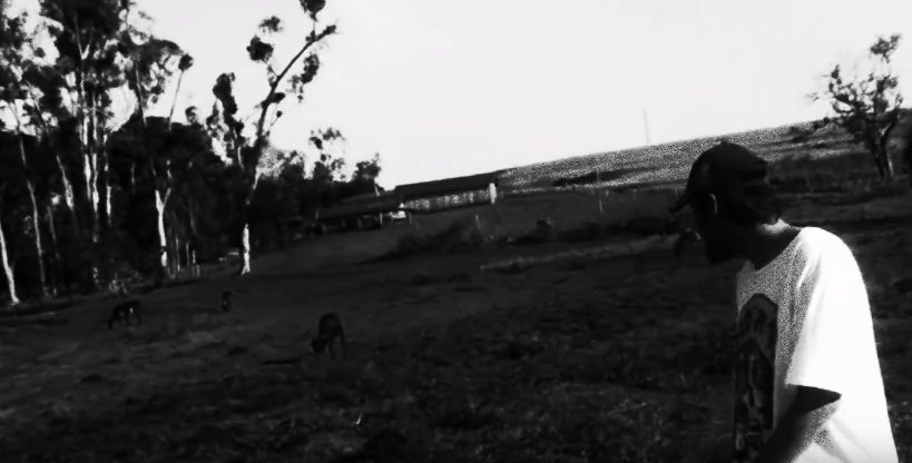 Foto Divulgação