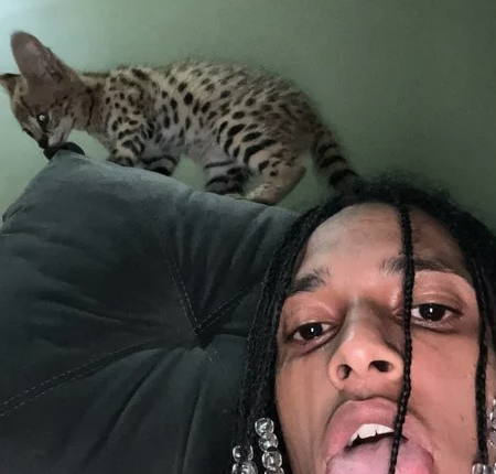 Foto Divulgação