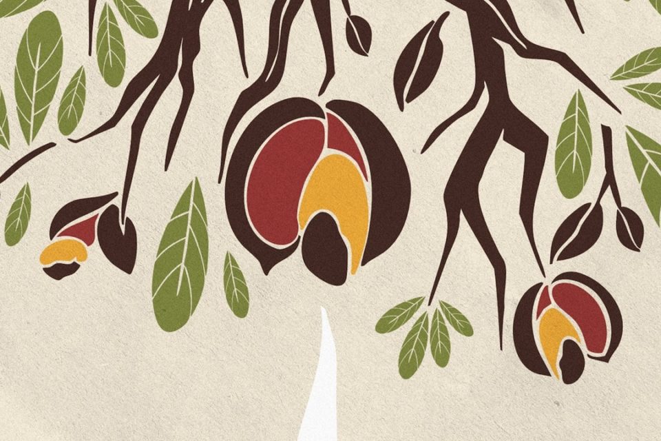 Ilustração de capa - Yasmin Lima
