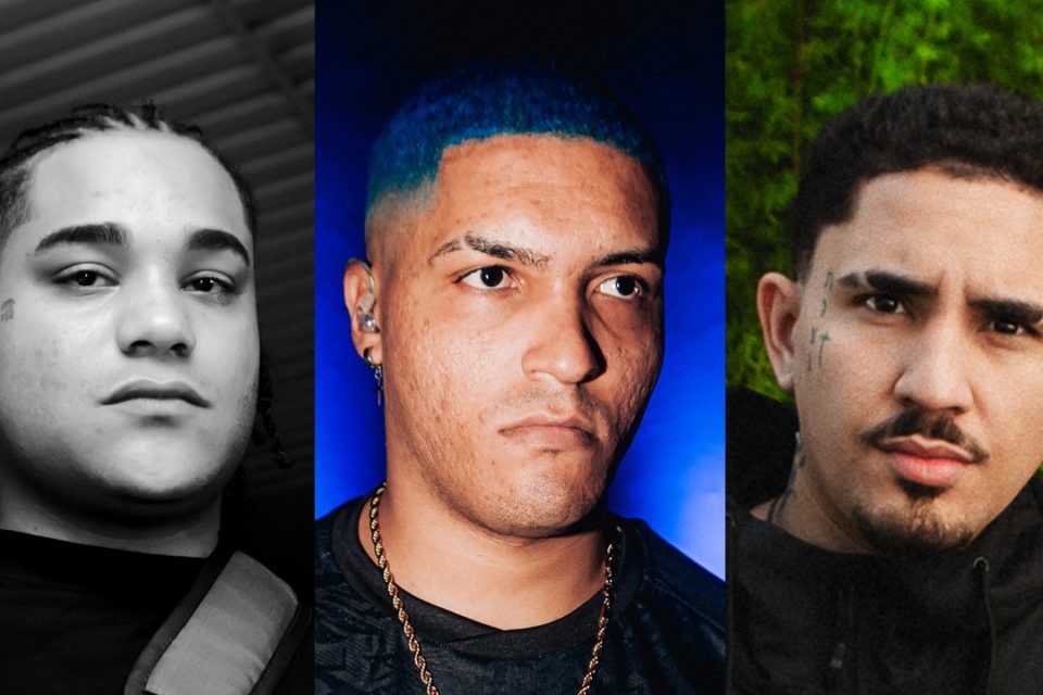 Projeto Cobras - Foto Divulgação