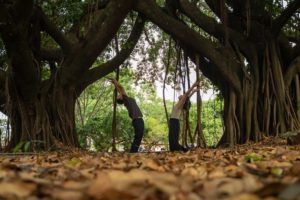 Foto Créditos: Rodrigo