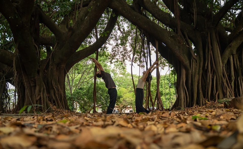 Foto Créditos: Rodrigo