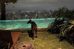 Suíte de Memphis no Rosewood São Paulo — Foto: Reprodução/Instagram