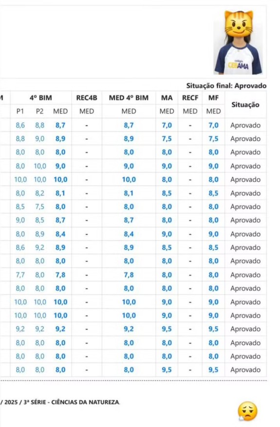 Rayssa Leal divulga boletim escolar nesta terça-feira. — Foto: Instagram