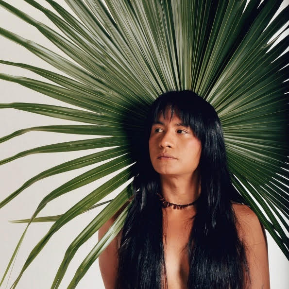 Guaja - Foto Divulgação